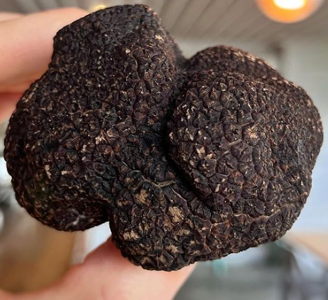 Fresh Australian Black Truffles - 100 grams - Caviar Australia