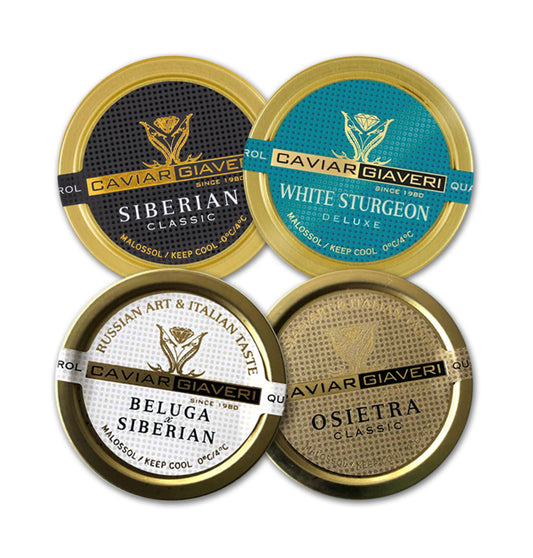Italian Giaveri Quartet Lux