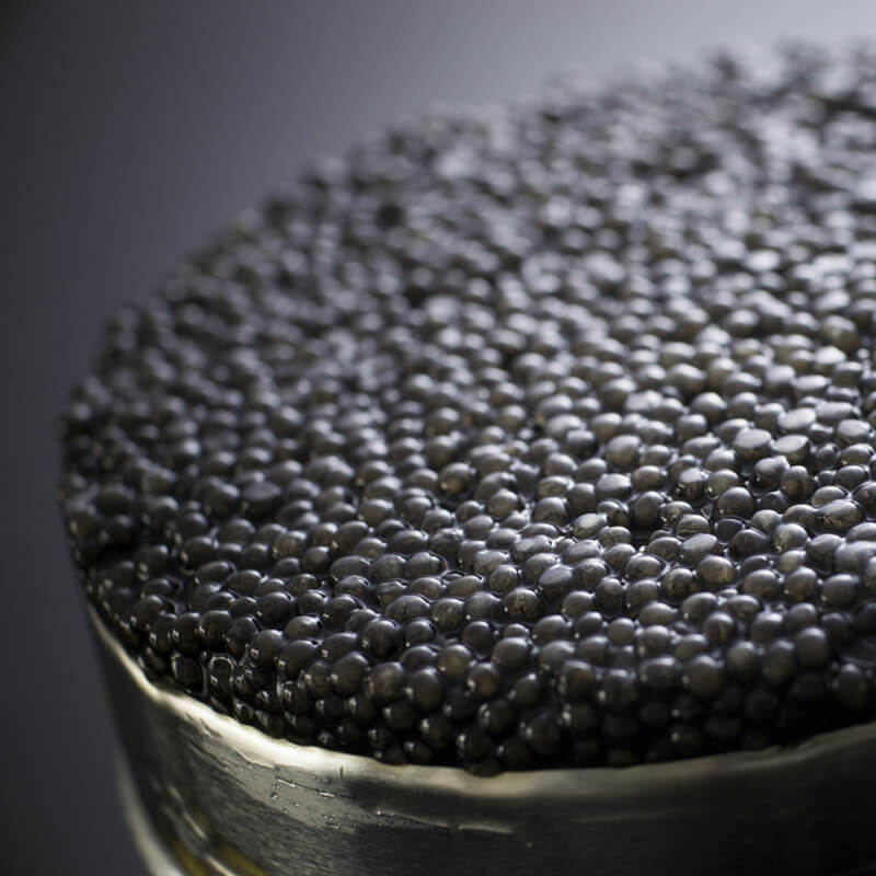 Caviar